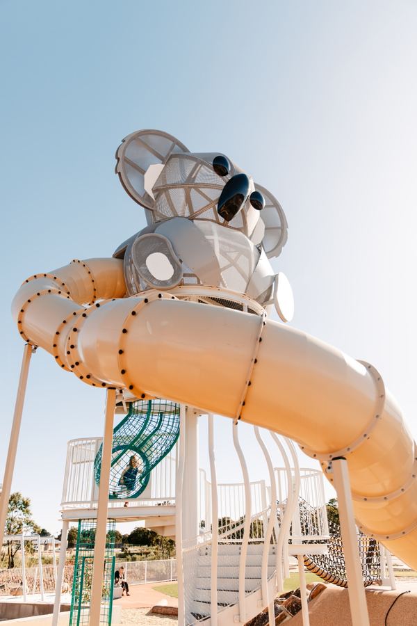 Movida's Koala Cove for Peet, photograph 1 of 42 by Jungle Creative