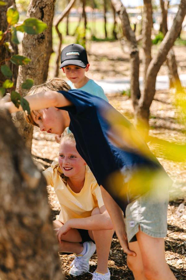 Movida's Koala Cove for Peet, photograph 35 of 42 by Jungle Creative